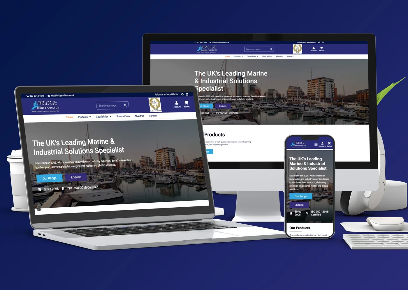 Bridge, Rubber & Plastics website design